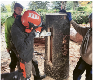 Klotzbeuten-Workshop Baumhöhlen für Honigbienen und die Biodiversität @ Tamins