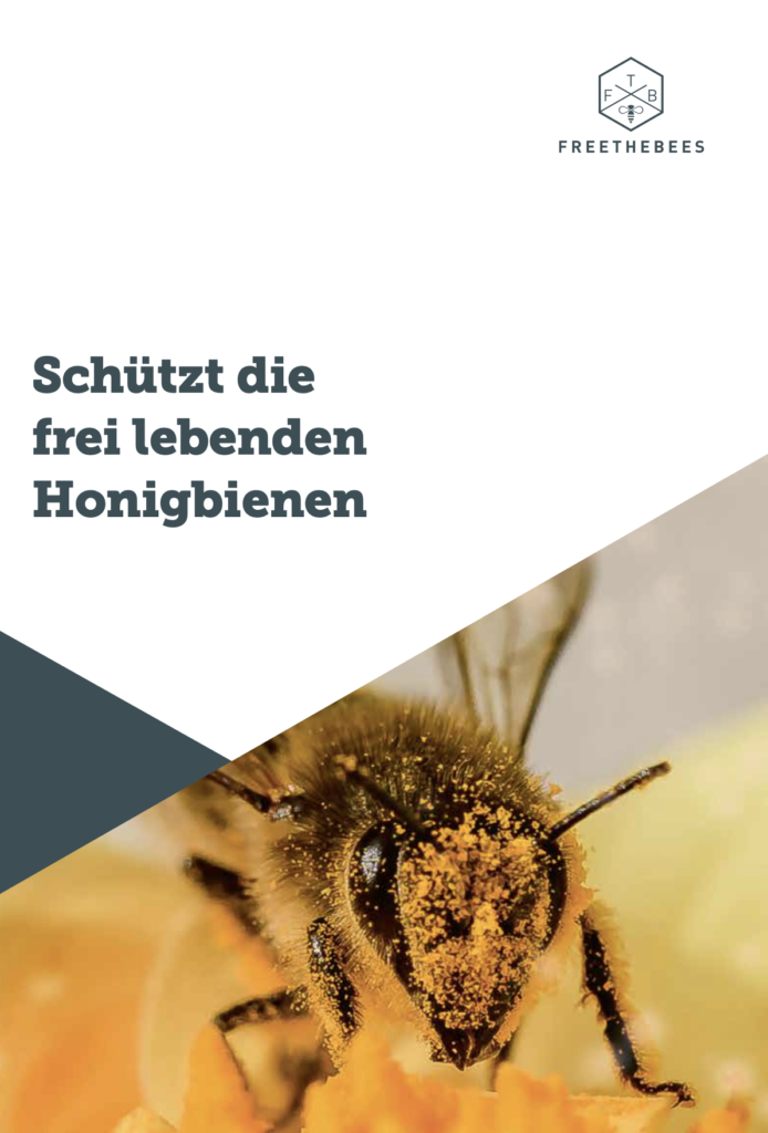FREETHEBEES Image-Broschüre