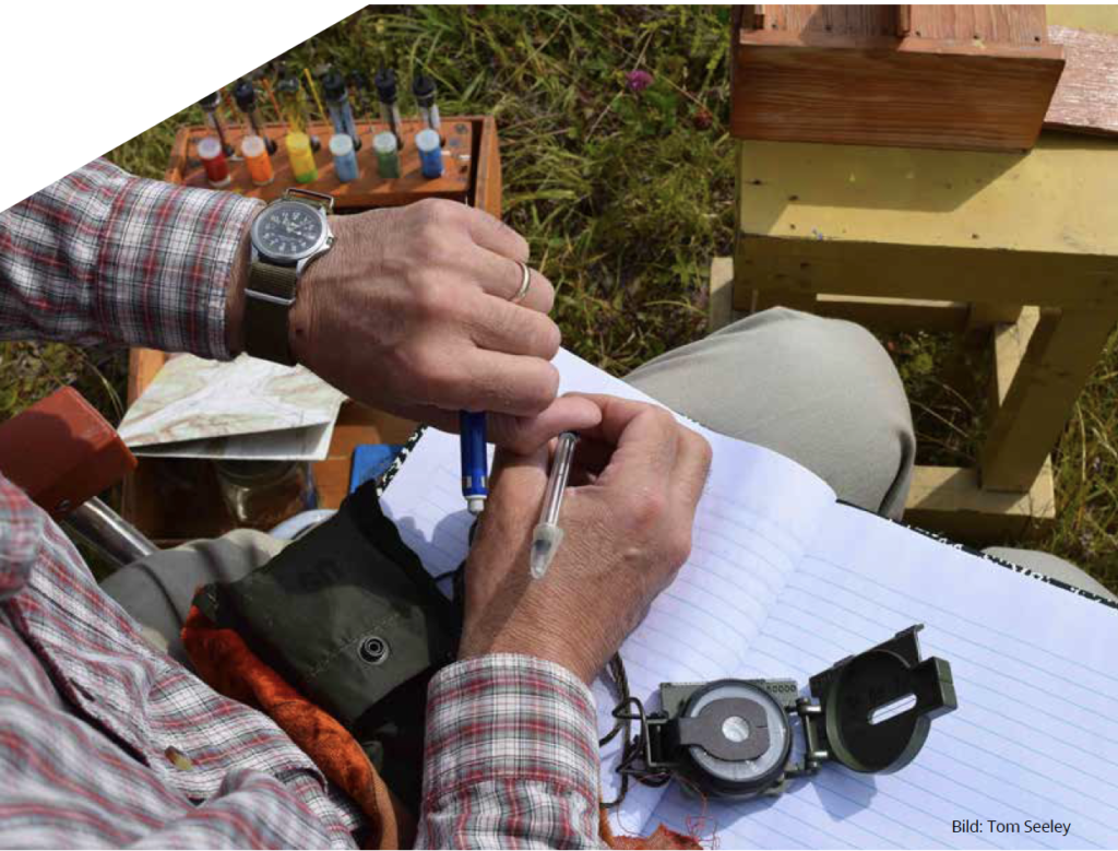 beelining tom seeley freethebees