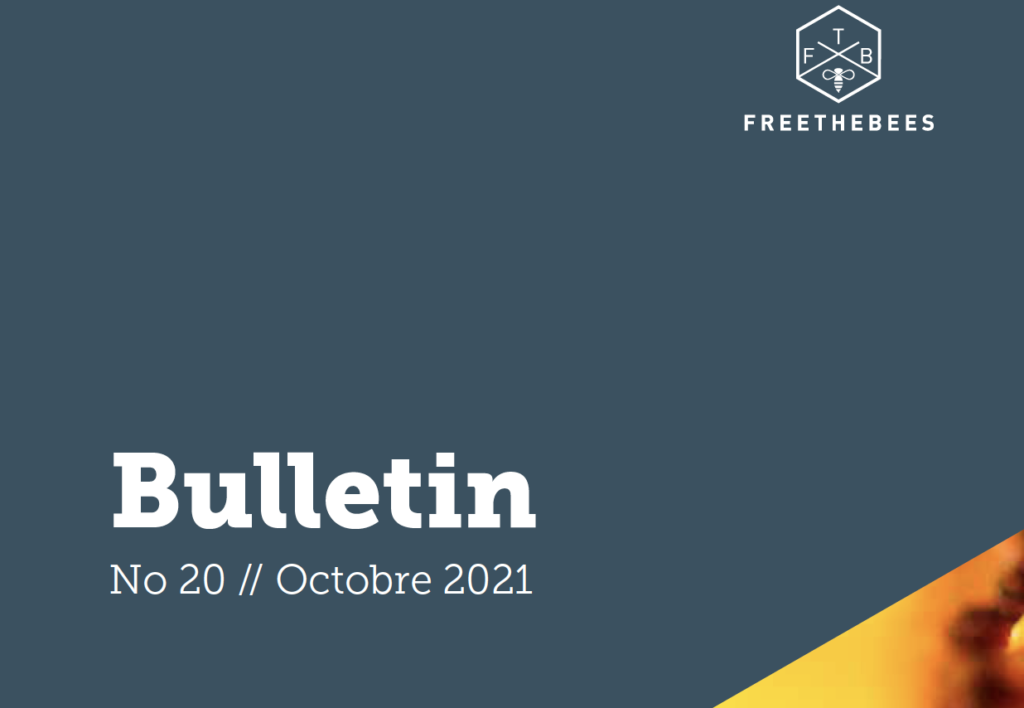 beelining tom seeley freethebees