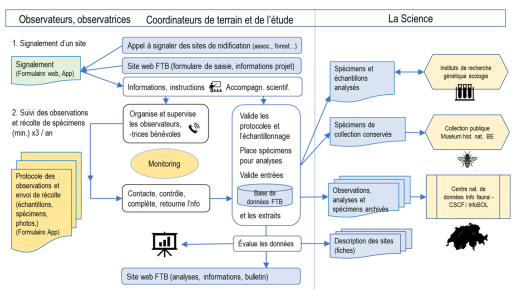 Swiss BeeMapping 2022