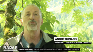 interview André Dunand - cavité dans les arbres FreeTheBees