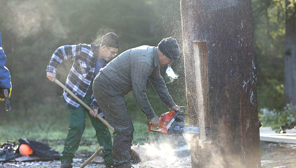 Artgerechtes Bienenhabitat
