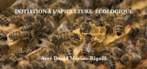 Formation à l’apiculture écologique @ La Gîte 1627 Vaulruz