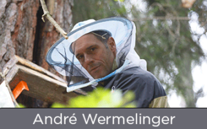 Abeilles sans frontières Conférence d'André Wermelinger : Droit suisse et apiculture