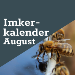 FreeTheBees Imkerkalender August 2024 (2)