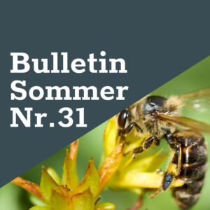 FreeTheBees Sommer Bulletin Nr. 31