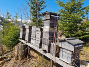 Ruches d'André Wermelinger, directeur de FreeTheBees