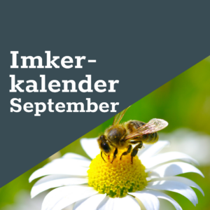 FreeTheBees Imkerkalender September