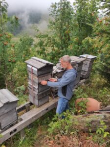 SwissTree und Bienenstöcke von André Wermelinger, Geschäftsführer FreeTheBees