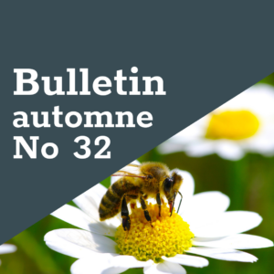 FreeTheBees Bulletin automne No 32