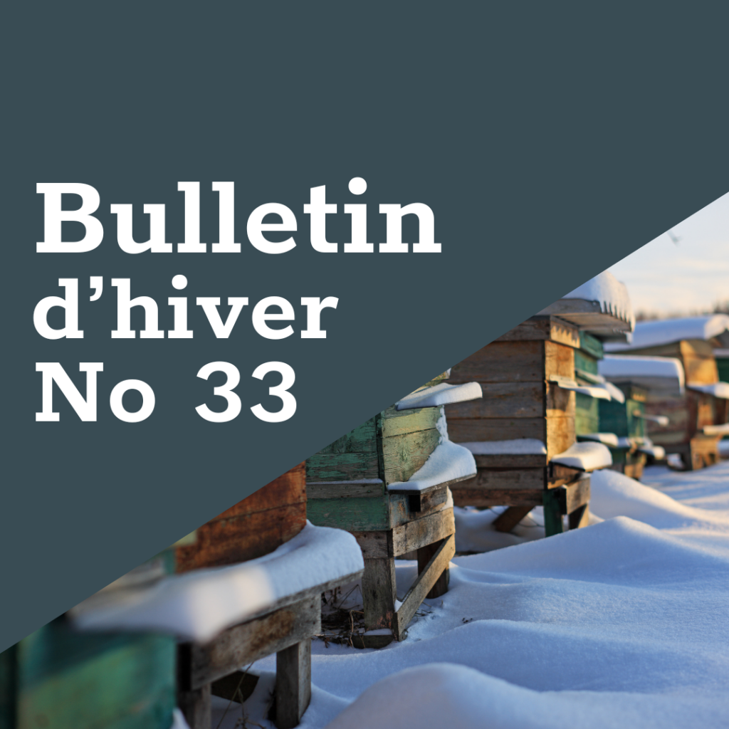 FreeTheBees Bulltin d'hiver No 33