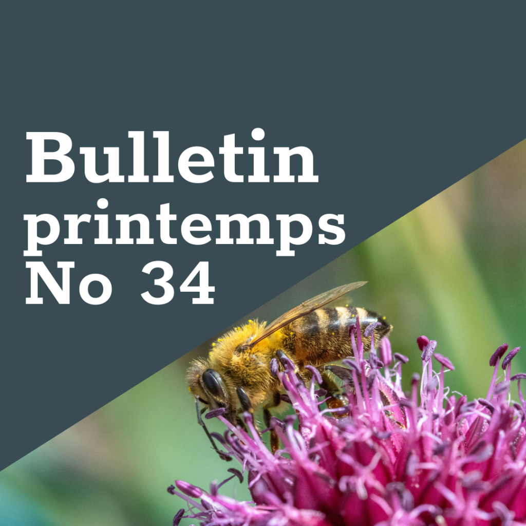 FreeTheBees Bulletin printemps No 34