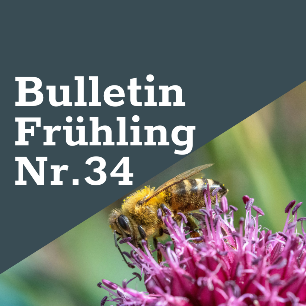 FreeTheBees Frühlings-Bulletin Nr. 34