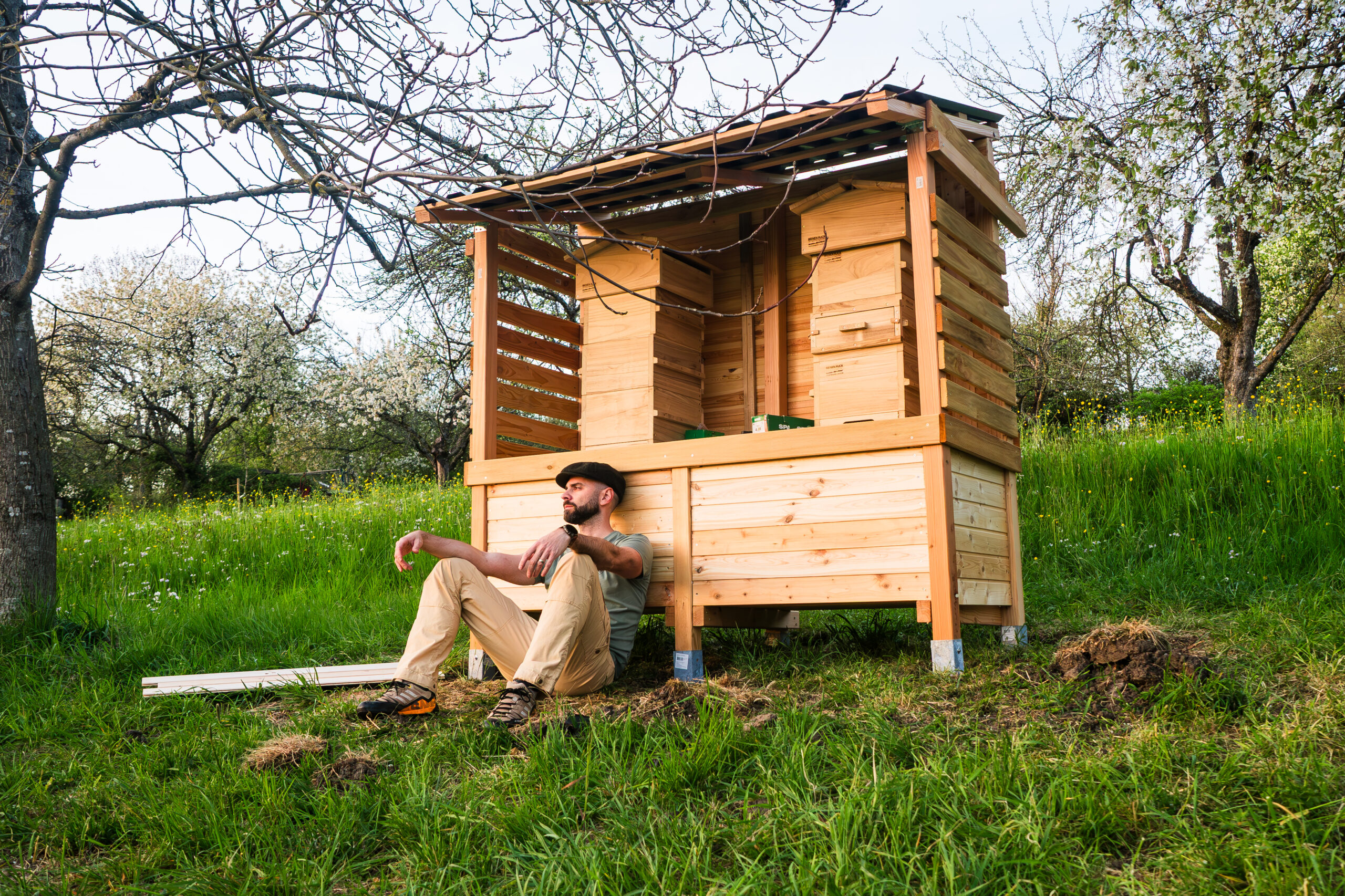 Aktueller Zwischenstand des Bienenstandes