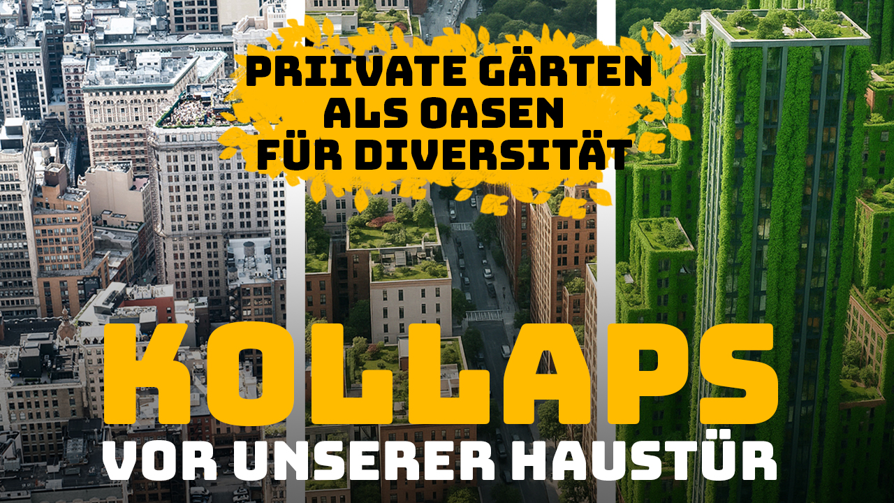 Bild 1 - Garten trifft Biene - Vortrag - YouTube Cover