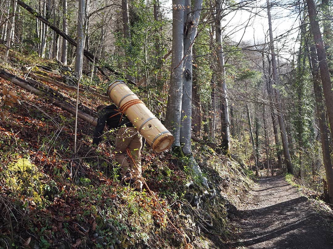 FreeTheBees Baumhöhlenprojekt_Transport SwissTrees zum Standort