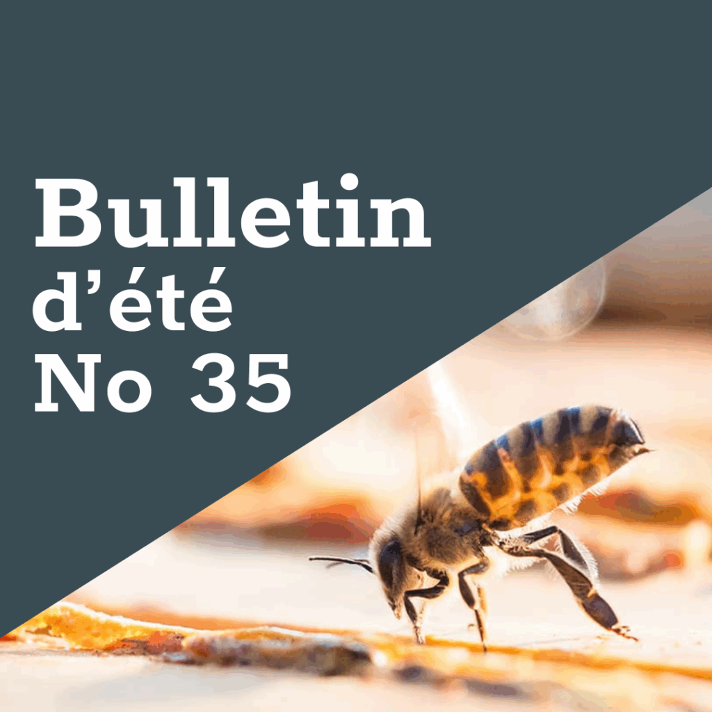 FreeTheBees Bulletin d'été No 35