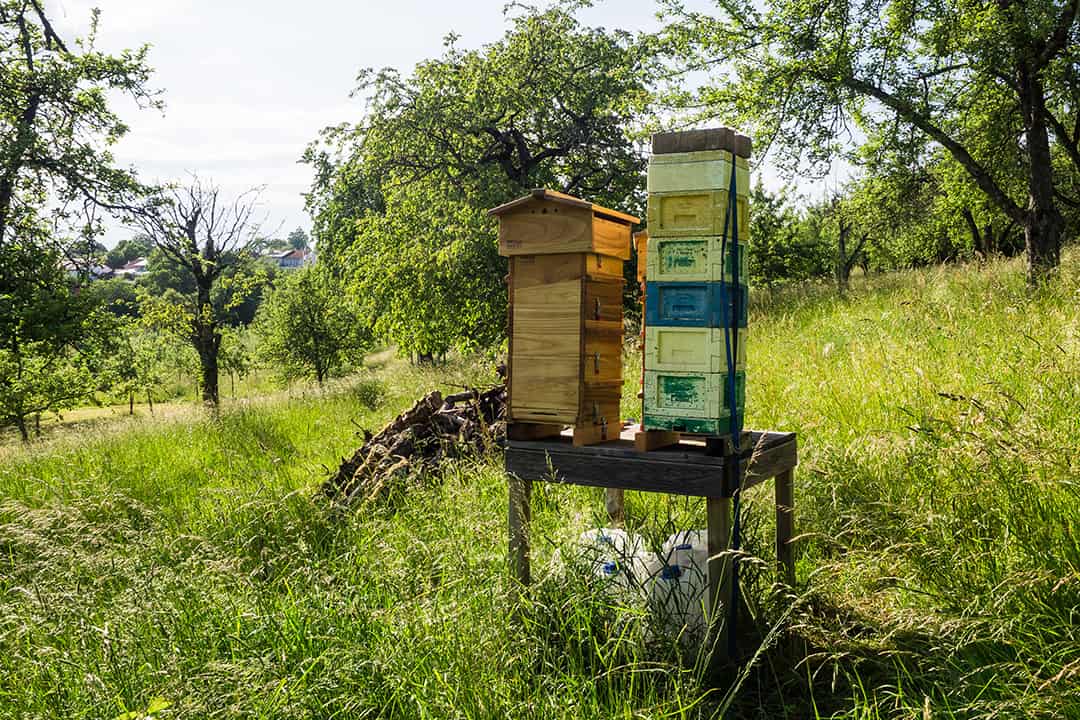 Styropor Mini Plus Hochhaus neben Warre Beute