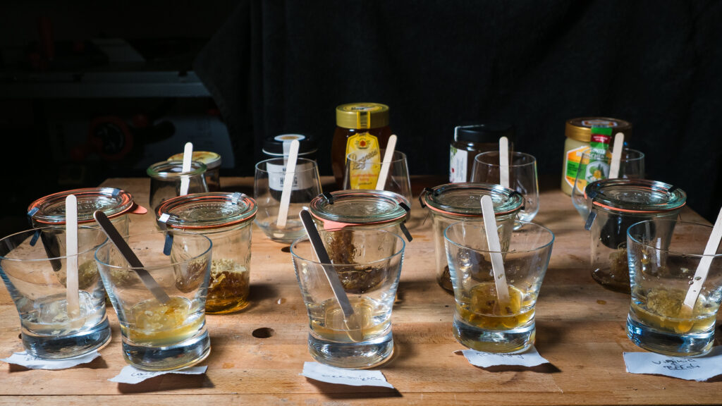 Testumgebung vom GOX Schnelltest