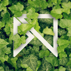 Logo des neuen Kanals Mark.This.Moment