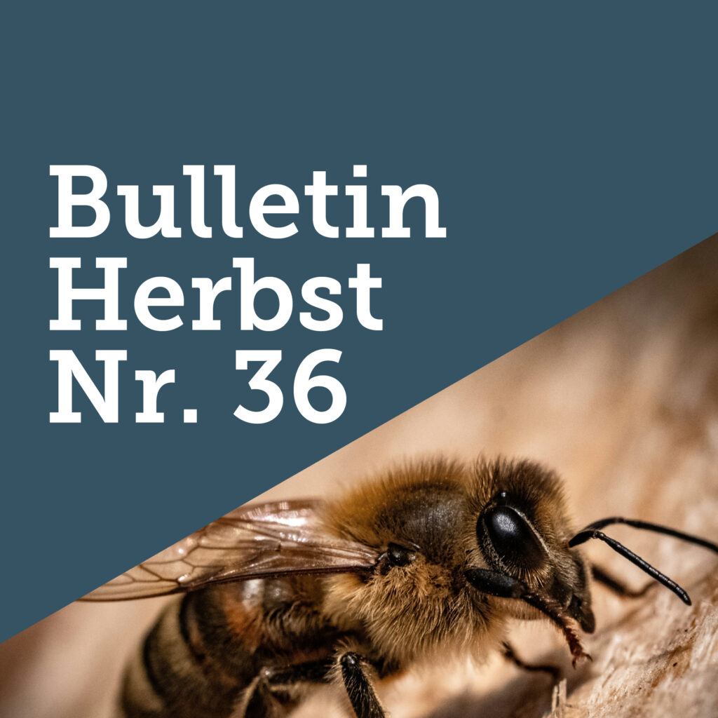 FreeTheBees Bulletin Herbst Nr. 36