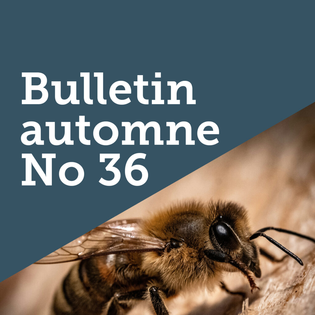 FreeTheBees Bulletin autmone No 36