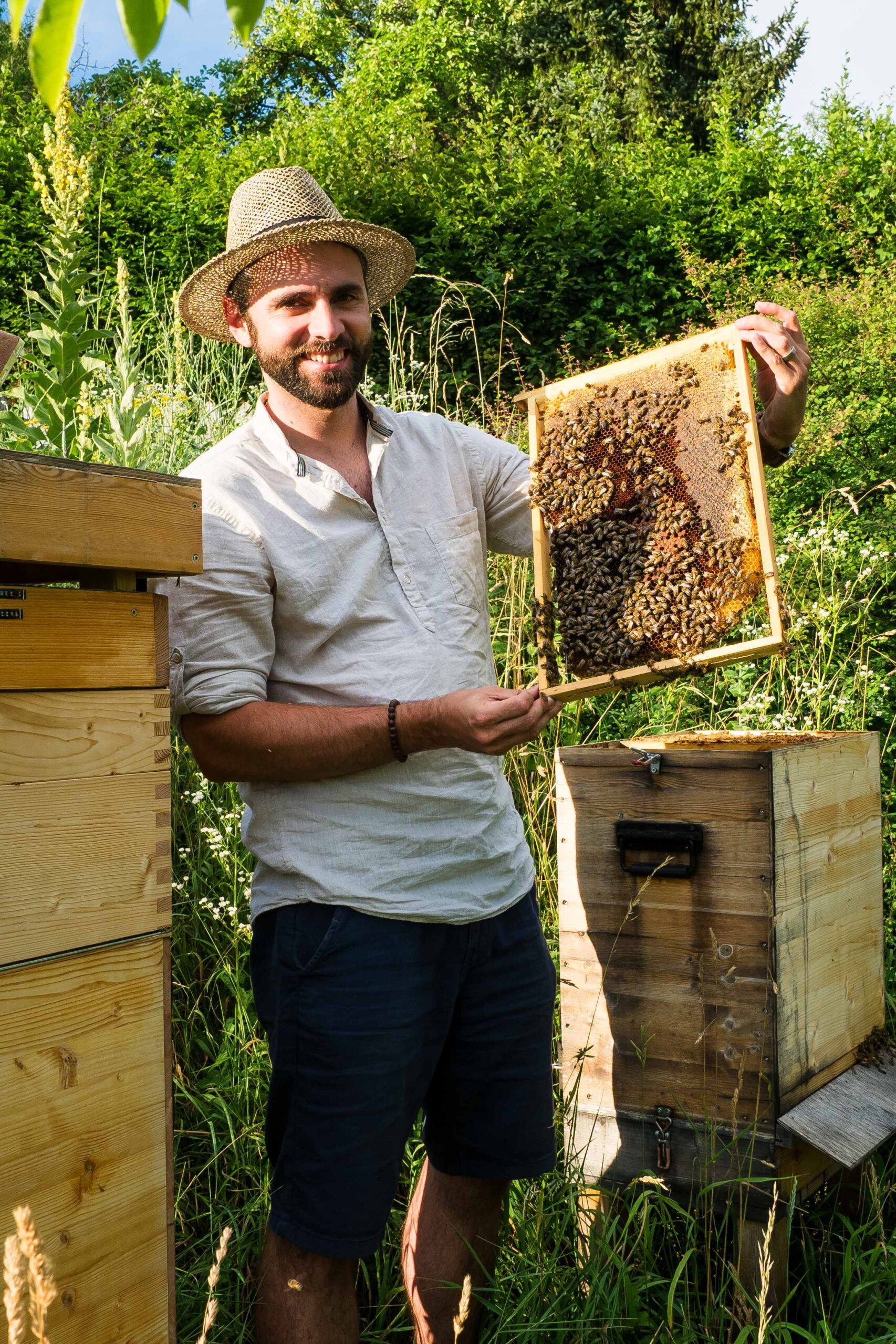 Ante avec un cadre d'abeilles Dadant vertical occupé