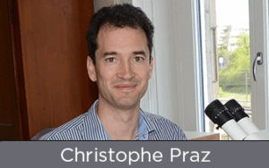 FreeTheBees Webinaire avec Christophe Praz : Conservation des abeilles sauvages en Suisse