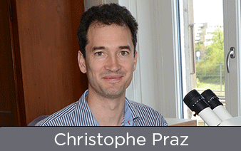 FreeTheBees webinaire avec Christophe Praz : Conservation des abeilles sauvages en Suisse