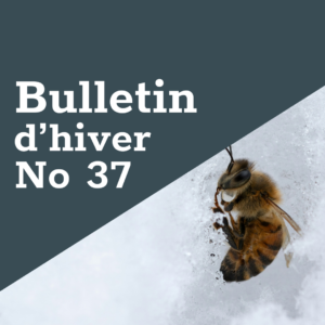 FreeTheBees Bulletin d'hiver No 37