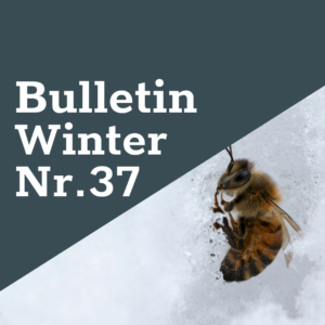 FreeTheBees Winter-Bulletin Nr. 37