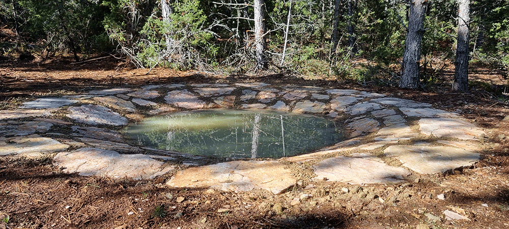 Marie Noelle Jalabert Marinapis Forêt mellifère lavogne
