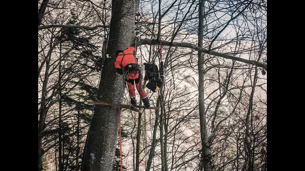 freethebees-zeidlerei-lezivo-klettertechnik-polen