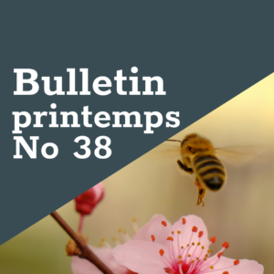 FreeTheBees Bulletin printemps No 38