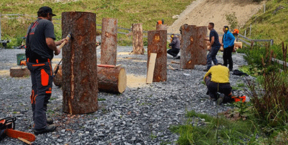 Klotzbeuten-Workshop Baumhöhlen