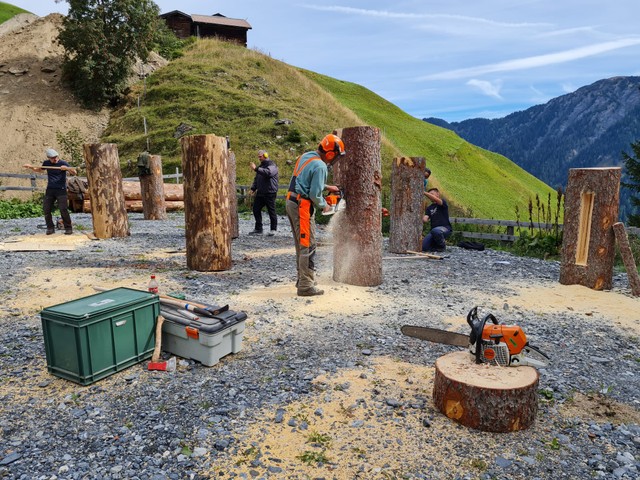 Corporate Volunteering bei FreeTheBees Baumhöhlen bauen statt Teambuilding-Klischee