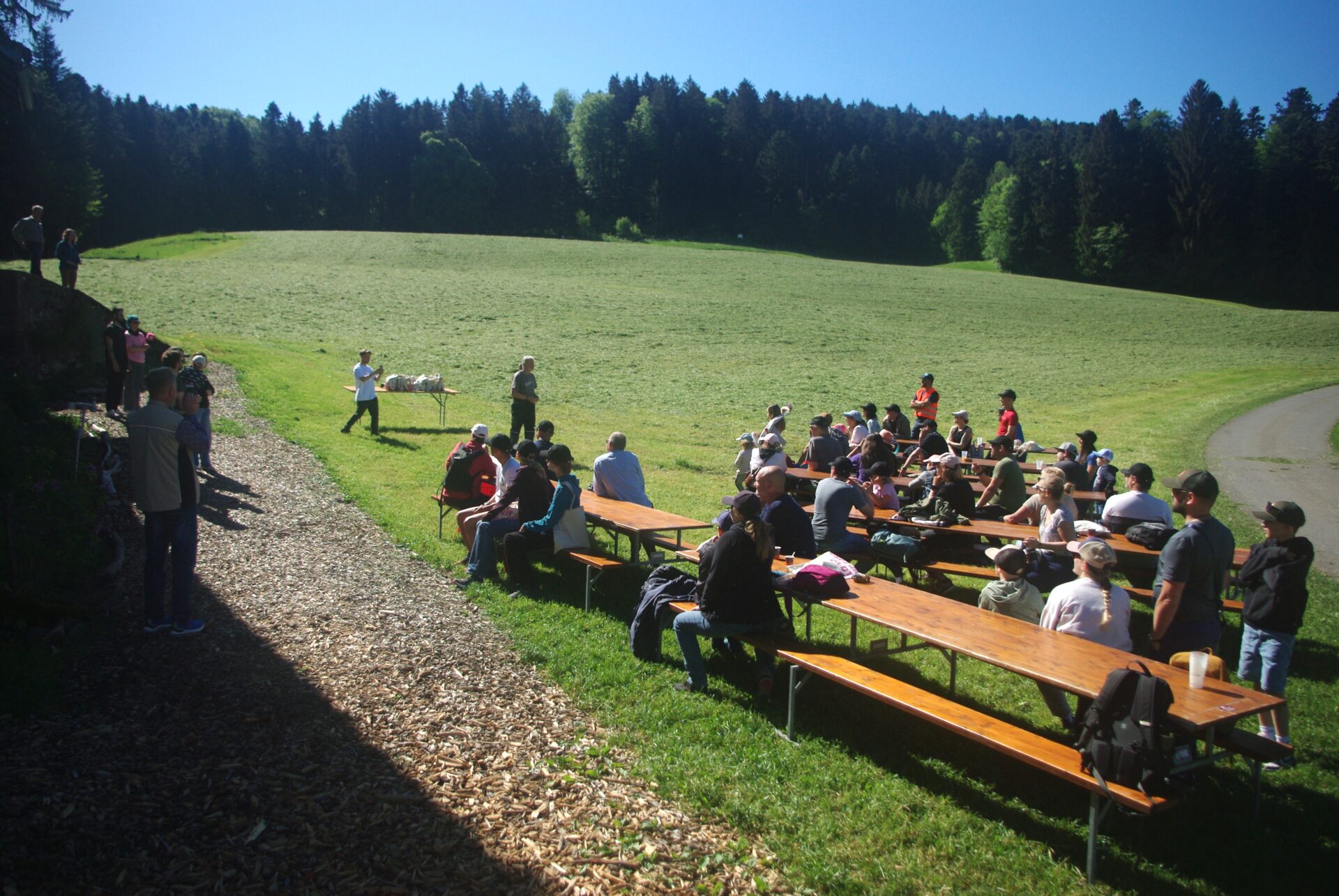 Im Mai 2026 lud FreeTheBees das QoQa-Team und Förderer auf den Erlebnispfad «Erlebnispfad der Honigbiene» ein. Ein Samstag mit Apéro, Waldwanderung und viel Wissen über wildlebende Honigbienen, als Dankeschön für 40'000 Franken Förderung.