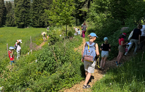 Kostenlose Besichtigung auf dem Entdeckungspfad zu Honigbienen und Biodiversität