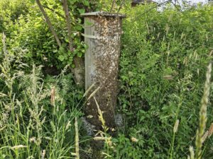 SwissTree von André Wermelinger auf einer blühenden Wiese mit Honigbienen am Flugloch, 2026