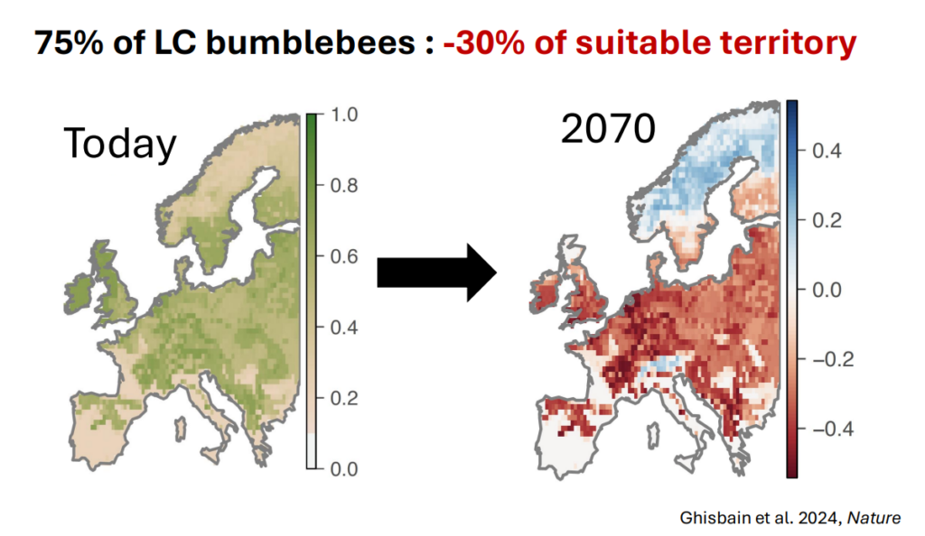 75% of LC bumblebees -30% of suitable territory
