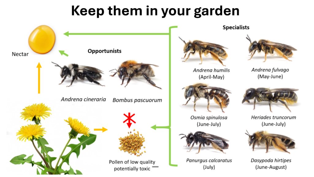 keep-them-in-your-garden