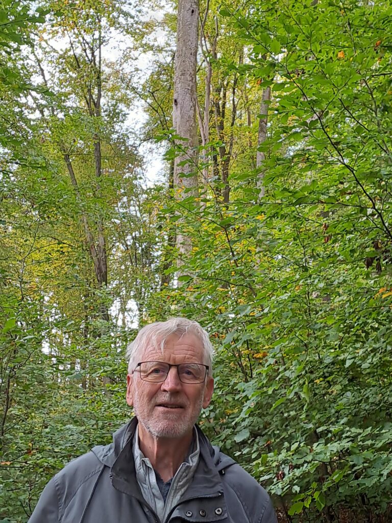 Freiwilliger Heinz beobachtet wildlebende Honigbienen im Thurgau, hinter ihm ein Baum mit zwei Spechthöhlen