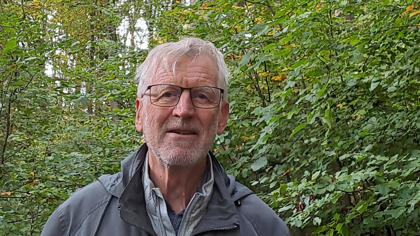 heinz-wildlebende-honigbienen-beobachten