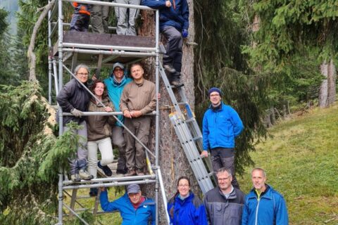 Klotzbeuten-Workshop Baumhöhlen für Honigbienen und die Biodiversität   - Glanerland 2021