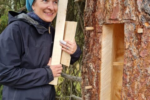 Klotzbeuten-Workshop Baumhöhlen für Honigbienen und die Biodiversität   - Glanerland 2021